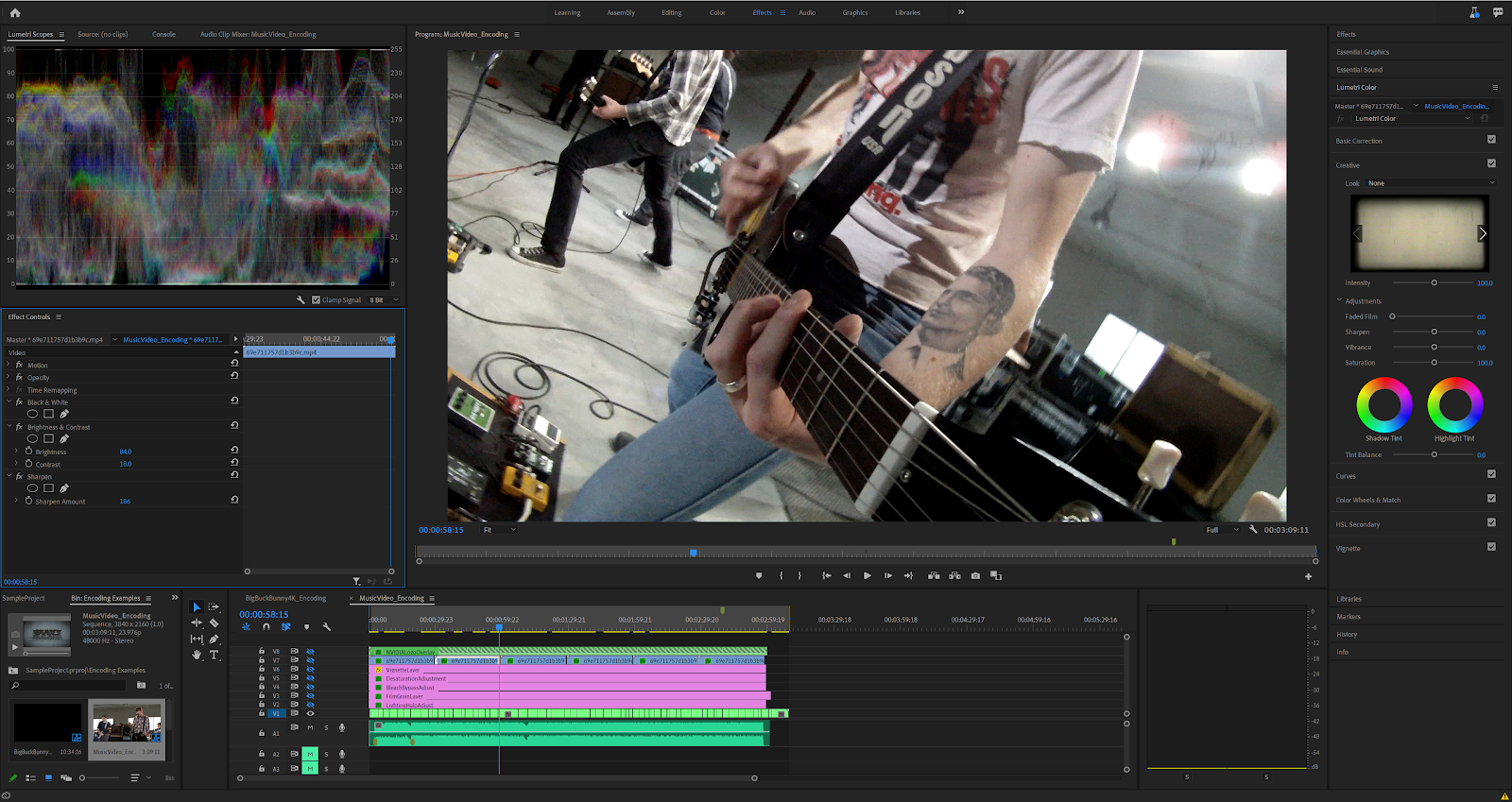 Screenshot of a music video edit in Adobe Premiere Pro